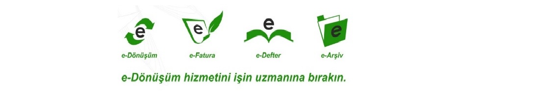 E-Dönüşüm